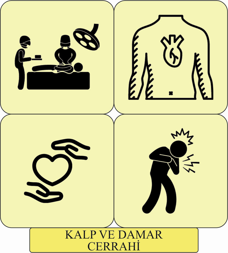 cardiovascular surgery